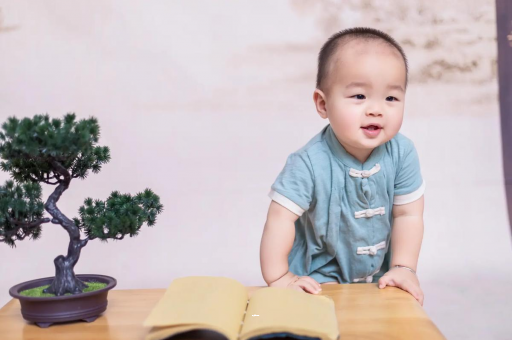 白银可爱的企鹅宝宝
